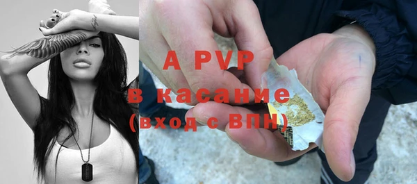 PSILOCYBIN Арсеньев