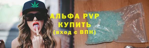 ГАЛЛЮЦИНОГЕННЫЕ ГРИБЫ Аркадак