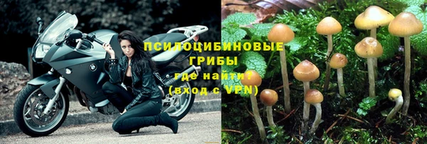 PSILOCYBIN Арсеньев