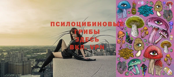 ГАЛЛЮЦИНОГЕННЫЕ ГРИБЫ Аркадак